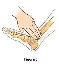 Figura 3