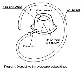 Figura 1