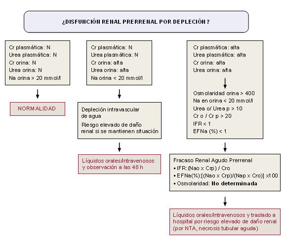 Parmetros de disfuncin renal